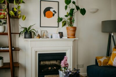 how to Make Your Home Look Expensive on cheap flowers how to Make Your Home Look Expensive on cheap flowers