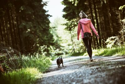 Benefits of walking daily Benefits of walking daily