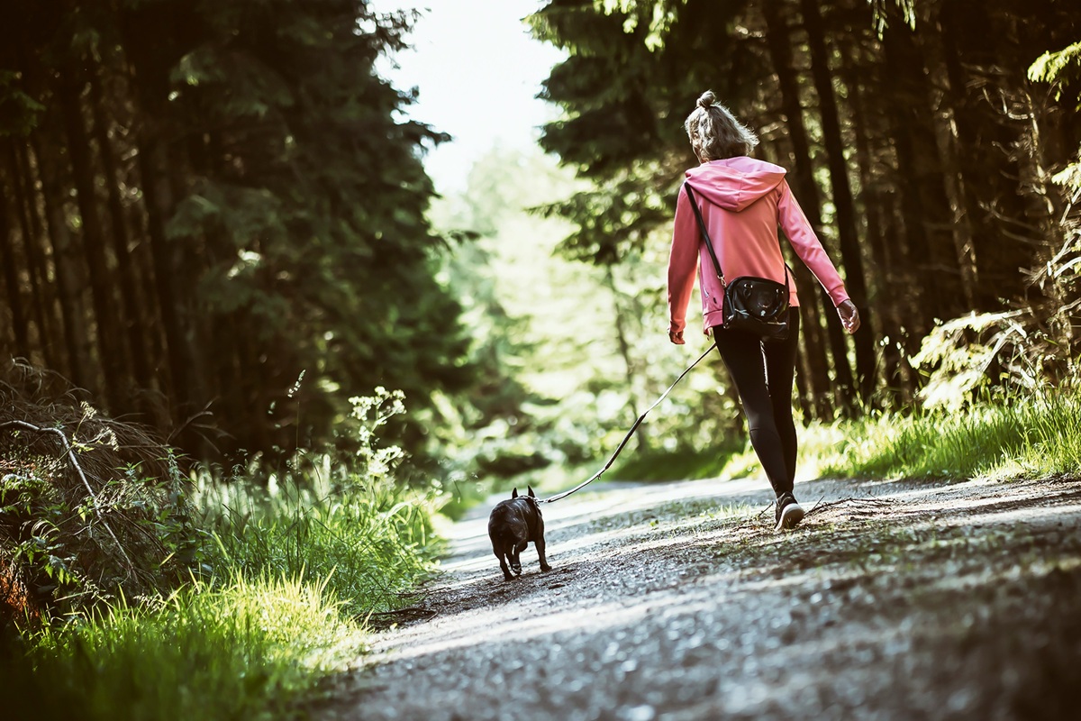 Benefits of Walking Daily 10 Minutes a Day Benefits of Walking Daily 10 Minutes a Day